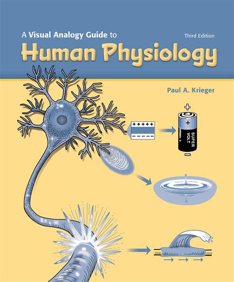 A visual analogy guide to human physiology. - Sony mds ja20es mini disco cubierta manual de reparacion.