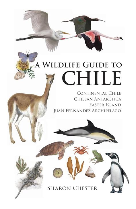 A wildlife guide to chile by sharon chester. - Manuali dei proprietari di kenwood online.