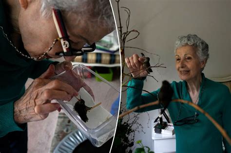 A woman in Mexico City heals hummingbirds, and gets healing in return