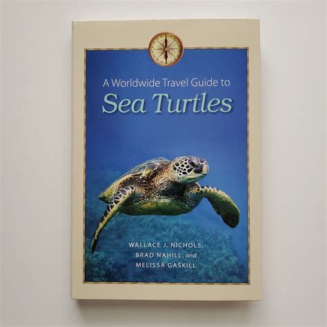 A worldwide travel guide to sea turtles by wallace j nichols. - Manuale di soundcraft spirit folio fx 16.