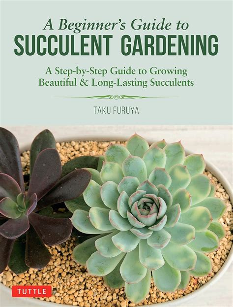 Download A Beginners Guide To Succulent Gardening A Stepbystep Guide To Growing Beautiful  Longlasting Succulents By Taku Furuya