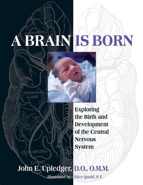 Read A Brain Is Born Exploring The Birth And Development Of The Central Nervous System By John E Upledger