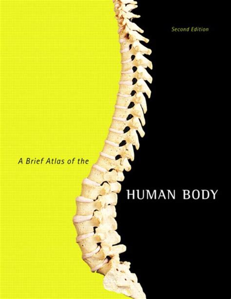 Read Online A Brief Atlas Of The Human Body By Matt Hutchinson