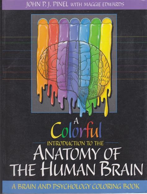 Full Download A Colorful Introduction To The Anatomy Of The Human Brain By John Pj Pinel