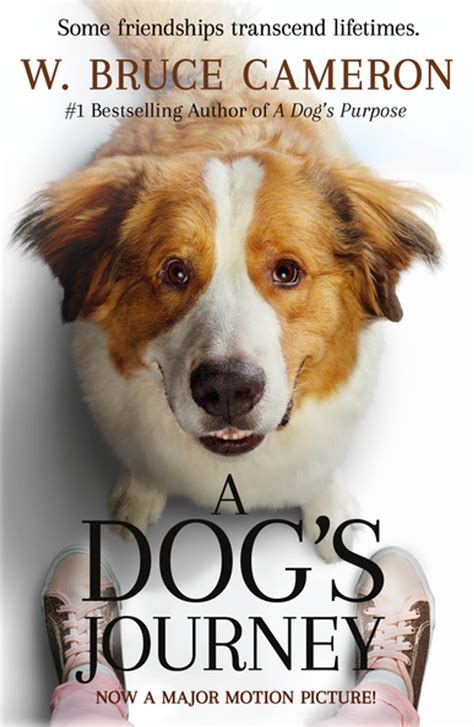 Download A Dogs Journey A Dogs Purpose 2 By W Bruce Cameron
