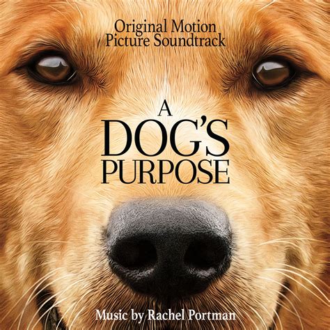 Download A Dogs Purpose A Dogs Purpose 1 By W Bruce Cameron