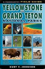 Read A Field Guide To Yellowstone And Grand Teton National Parks By Kurt F Johnson