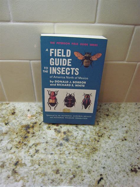 Read A Field Guide To The Insects  America North Of Mexico Peterson Field Guide Series By Donald J Borror