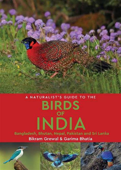 Download A Naturalists Guide To The Birds Of India By Bikram Grewal