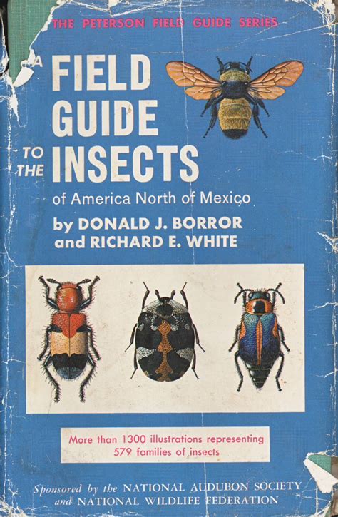 Download A Peterson Field Guide To Insects America North Of Mexico By Donald J Borror