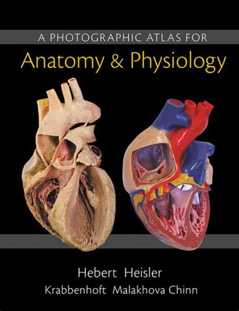Download A Photographic Atlas For Anatomy  Physiology By Nora Hebert