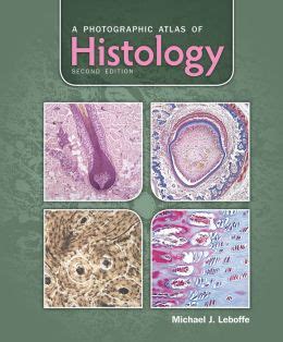 Download A Photographic Atlas Of Histology By Michael J Leboffe