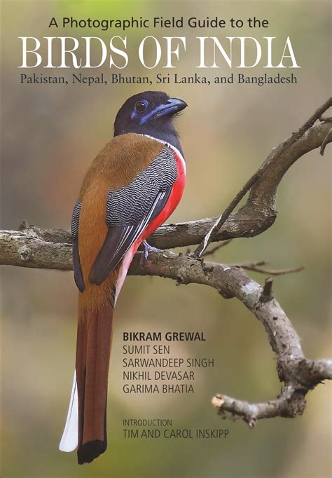 Download A Photographic Field Guide To The Birds Of India Pakistan Nepal Bhutan Sri Lanka And Bangladesh By Bikram Grewal