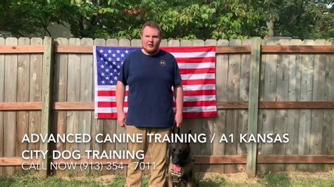 A1 kansas city dog training. This is A1 Kansas City Dog Training Please beware who you trust to watch your dogs. ... Missouri Dog Owners! This is A1 Kansas City Dog Training Please beware who you trust to watch your dogs. We have never interacted with this company, but if you or someone you know has used this... 
