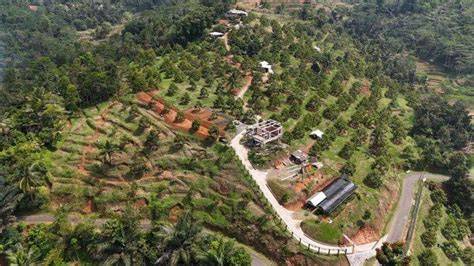 Aa Kadu - raincitystudios.com