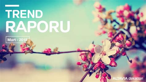 AALİYT RAPORU MART 2018.