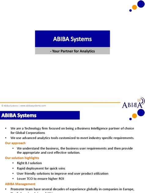 ABIBA Systems Overview