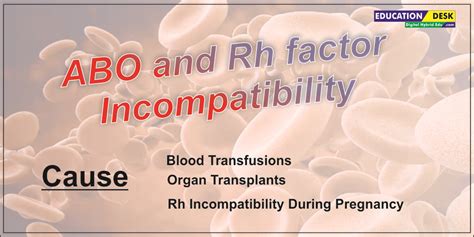 ABO Incompatibility Reaction: Causes, Risk Factors