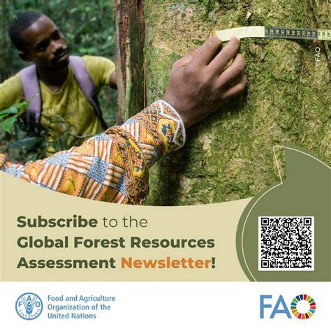 About | Global Forest Resources Assessment | Food and Agriculture ... - raincitystudios.com