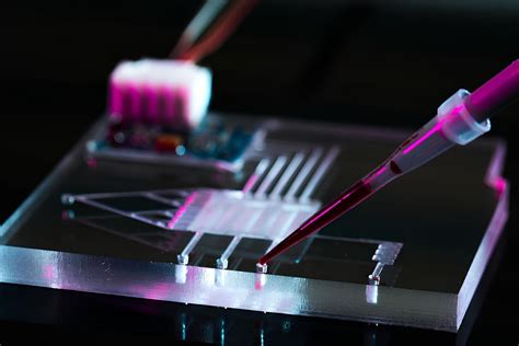 About | Microfluidics Laboratory - wintechmobiles.com