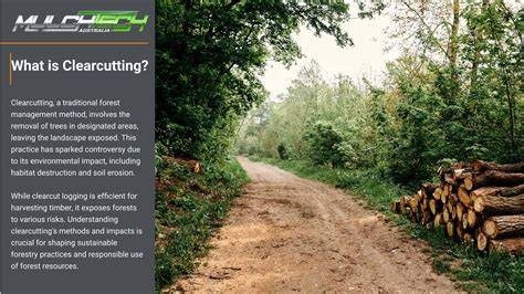 About Clearcutting - Sierra Club - raincitystudios.com