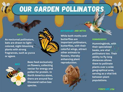About Pollinators - raincitystudios.com
