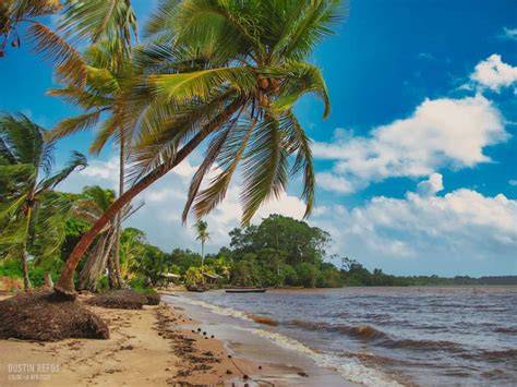 About Suriname - EITI Suriname - raincitystudios.com