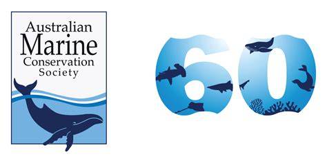About the Australian Marine Conservation Society (AMCS) - raincitystudios.com
