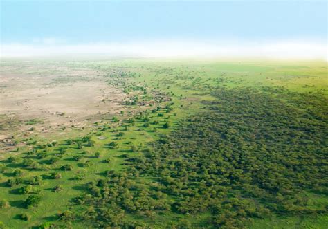 About the Great Green Wall Accelerator - raincitystudios.com
