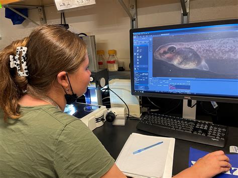 About the MRC | Marine Biological Laboratory - raincitystudios.com