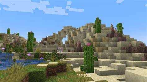About this Biome - Northwestern Coniferous Forests - raincitystudios.com