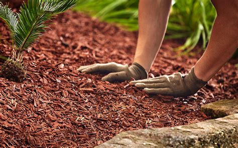 About Us – Garden Mulch - raincitystudios.com
