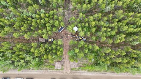 About Woodlots - raincitystudios.com