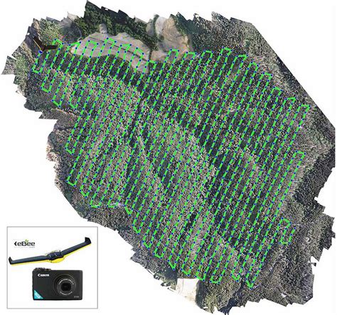 Above‐Ground Biomass Estimation with High Spatial - raincitystudios.com
