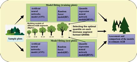 Aboveground biomass estimation in forests with random forest and … - raincitystudios.com