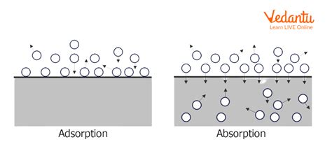 Absorption (chemistry) - wintechmobiles.com