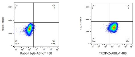 ABflo® 488 Rabbit anti-Goat IgG (Fc) fragment mAb (A22776)