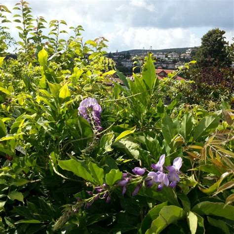 codini.rgarabwor.edu.pl. 