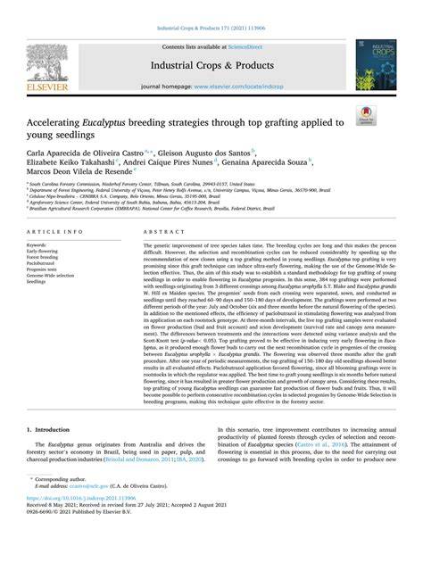 Accelerating Eucalyptus breeding strategies through top grafting ... - raincitystudios.com