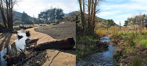 Accelerating the Restoration of Vegetation in a Southern California ... - muktibox.com