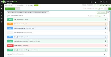 Accessing the REST API Swagger documentation - coolestguyplanet.net