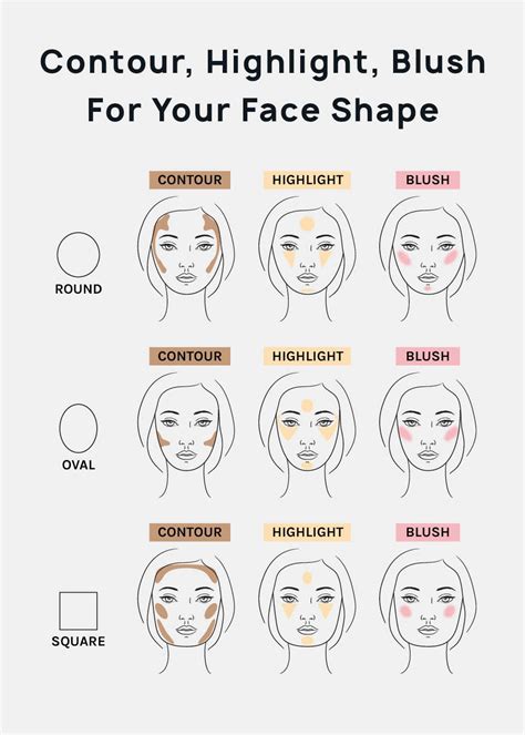 According to the basic principles of contouring, which of the following ... - wintechmobiles.com