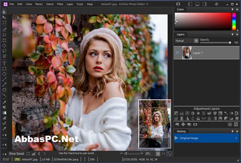 ACDSee Photo Editor 11.1 Build 105 With Crack Download 