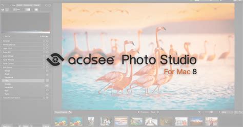 ACDSee Photo Studio digital asset