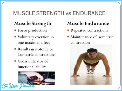 ACE CPT Ch8 Musclar Strength and Endurance