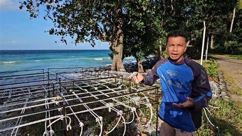 Aceh Aquatic Youth | Marine Conservation - raincitystudios.com