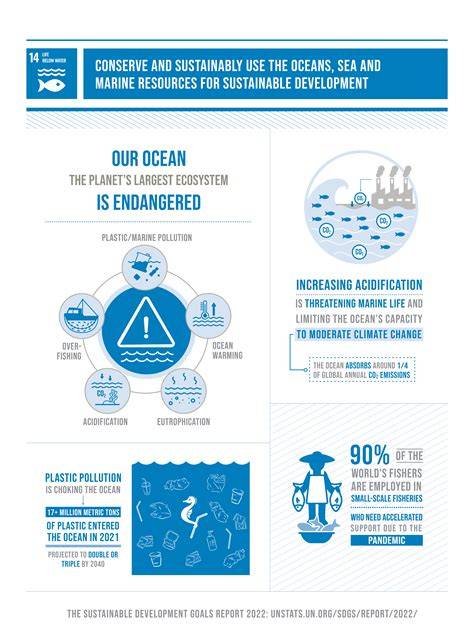 Achieving the Sustainable Development Goal for the Oceans - raincitystudios.com