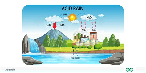 Acid Rain: Its Environmental Impacts Explained - wintechmobiles.com