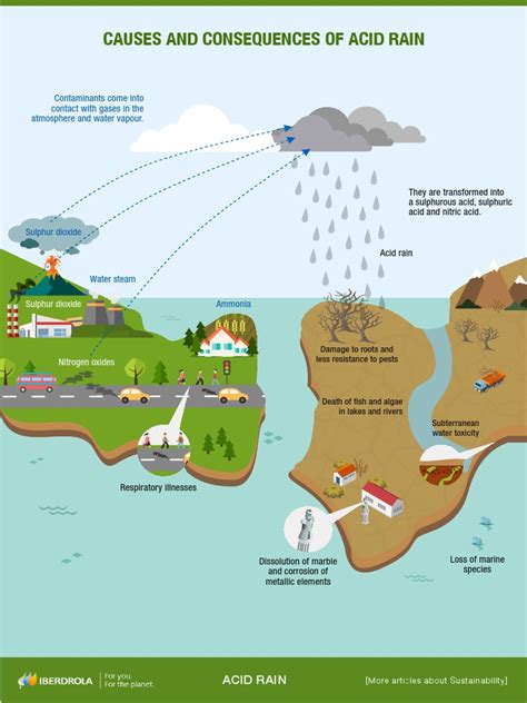 Acid Rain: What it is, Causes and Consequences - wintechmobiles.com