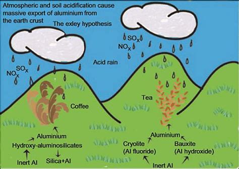 Acid rain and chemical weathering - Oak National Academy - wintechmobiles.com